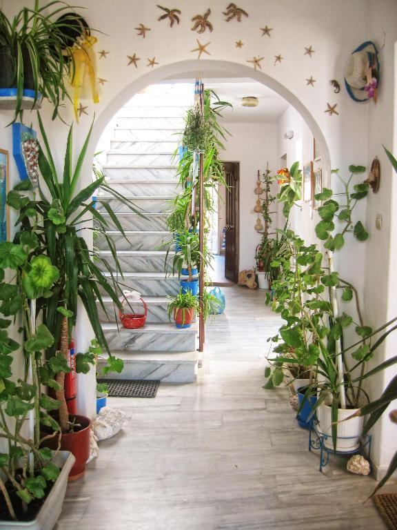 Augusta Studios & Apartments Науса Экстерьер фото